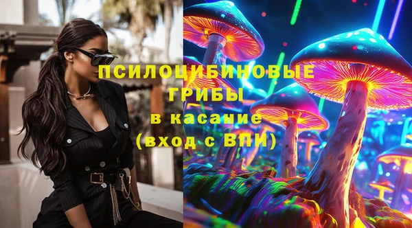 твердый Иннополис