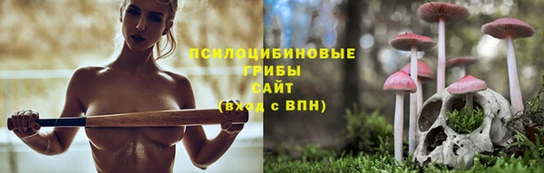 твердый Иннополис
