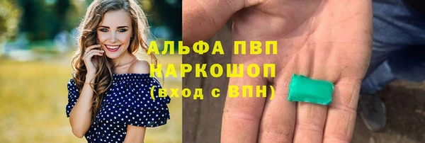 твердый Иннополис