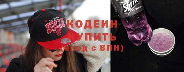 твердый Иннополис