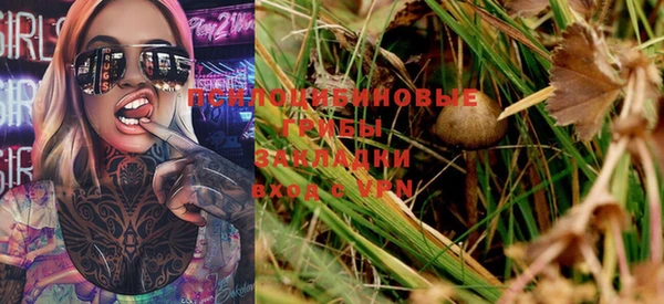 твердый Иннополис