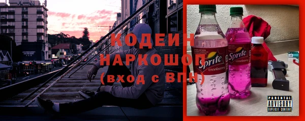 твердый Иннополис