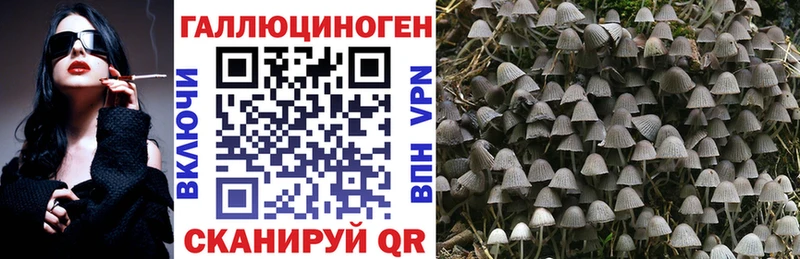 Псилоцибиновые грибы мухоморы  Купить  Гаврилов-Ям 
